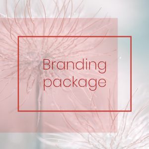 branding package for creative and holistic business