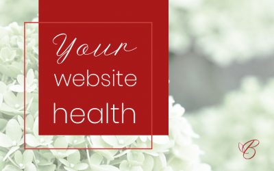 A healthy website is a well-maintained website