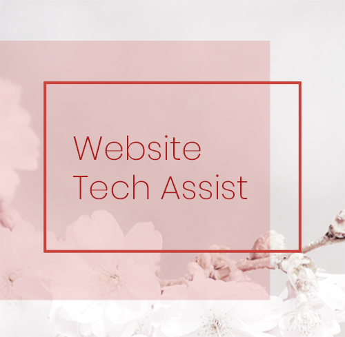 single session technical assistance for your website and email provider