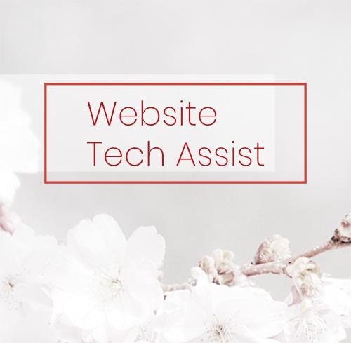 need some 1:1 tech assistance with your Wordpress website?