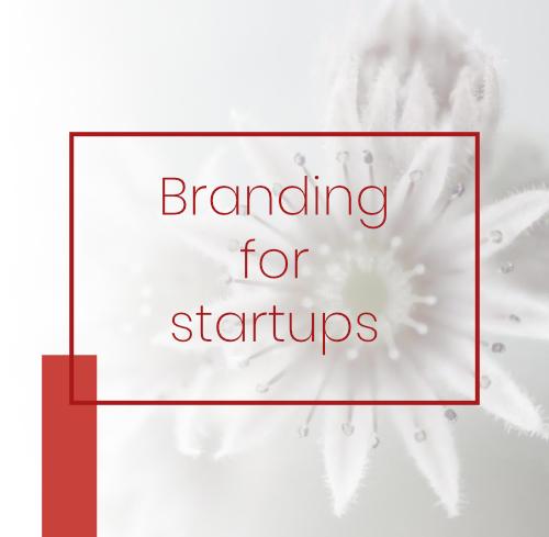 Just starting in business, and need a logo pronto?Branding for Startups is high impact and low-cost