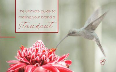 The Ultimate guide to making your brand a standout to attract your ideal clients and make sales
