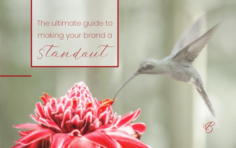 The Ultimate guide to making your brand a standout to attract your ideal clients and make sales